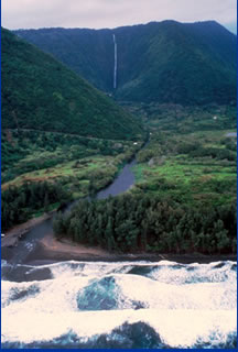 Waipio Valley